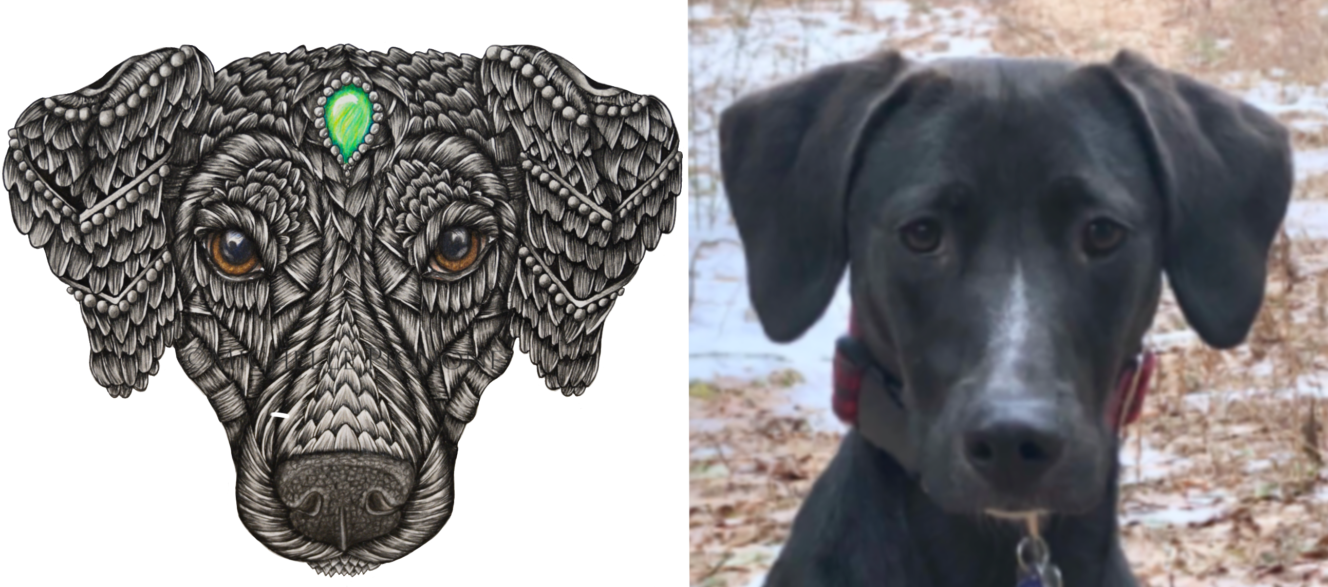 Custom Zen Pet Portrait