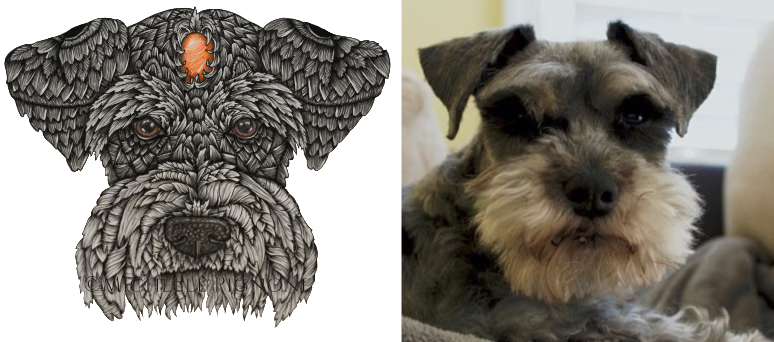 Custom Zen Pet Portrait