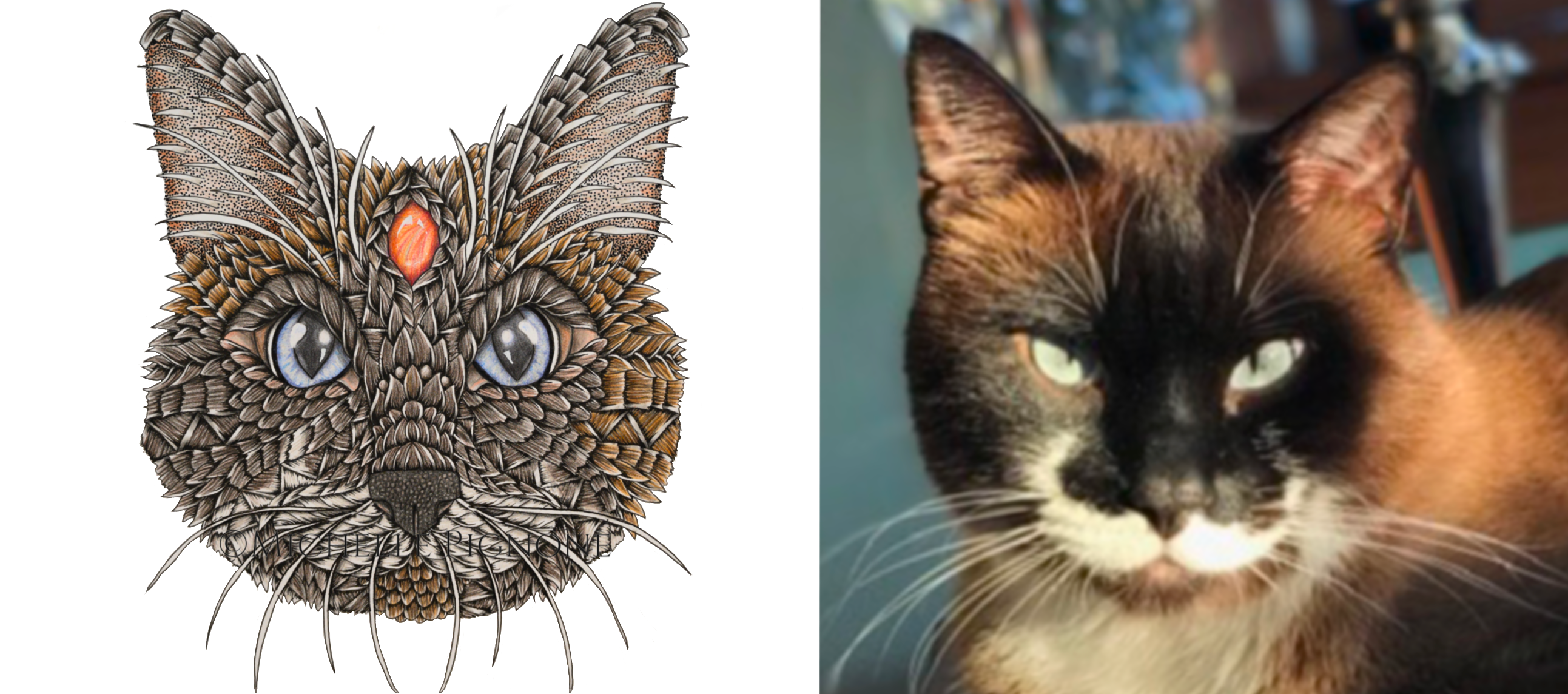 Custom Zen Pet Portrait
